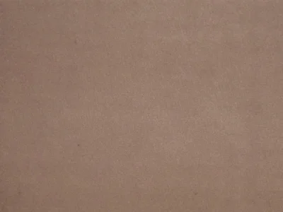 Dove